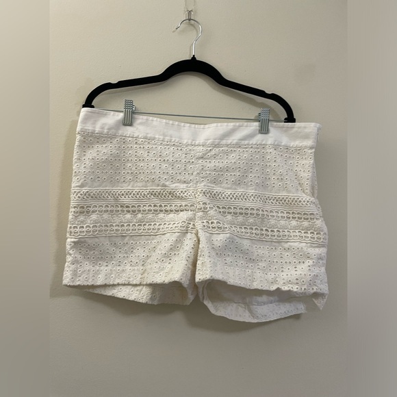 LOFT Pants - Ann Taylor Loft Riviera Eyelet Shorts in Light Cream - 14‎
